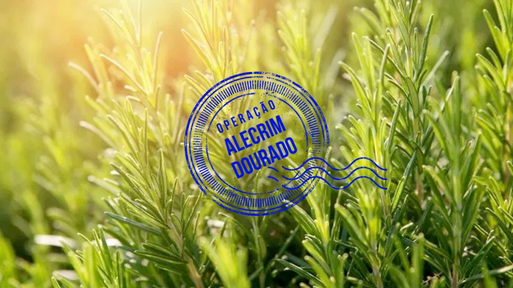 Operação Alecrim Dourado