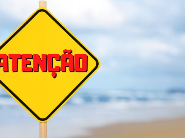 Leia este artigo antes de&nbsp;votar