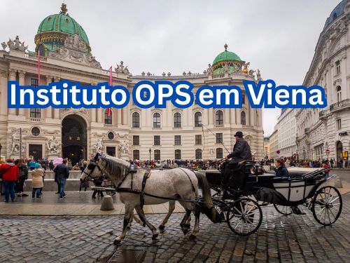 Instituto OPS viaja para Viena e inicia luta global contra a corrupção a pedido da&nbsp;ONU